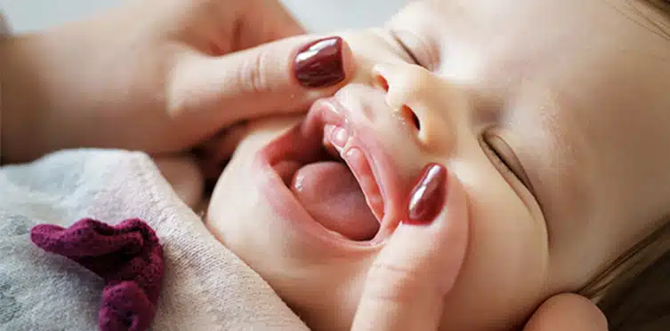 Baby's Teeth and Gums